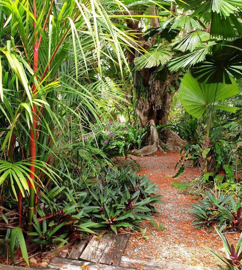 Rainforest Castaways Resort And Spa Mission Beach Exterior photo